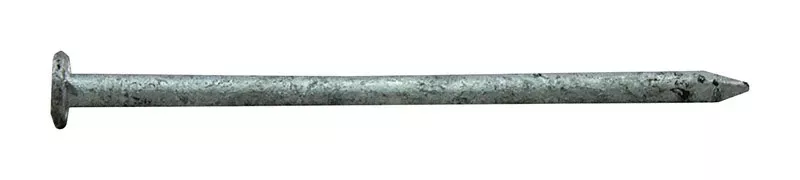0054158 Common Nail, 8d, 2-1/2 In L, Hot-dipped Galvanized Steel, Flat Head