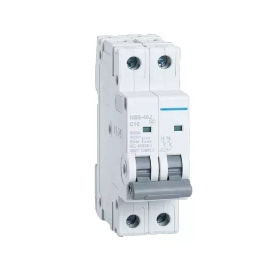 1 amp 2 pole Miniature Circuit Breaker