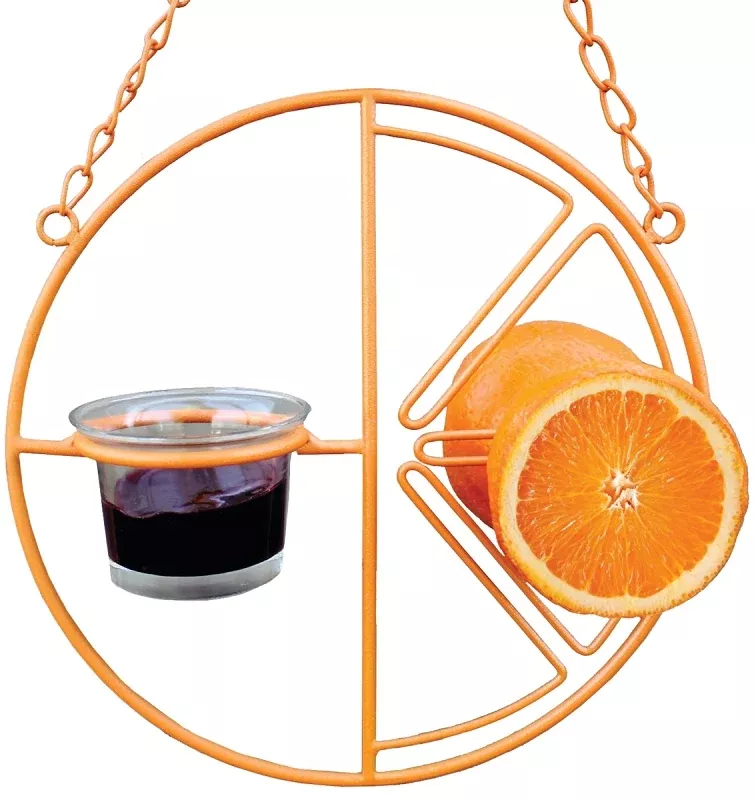 Heath CF-133 Clementine Bird Feeder, 2 oz, Grape Jelly, Mealworms, Nectar, Orange Halves, 4-Port/Perch, Steel, Orange