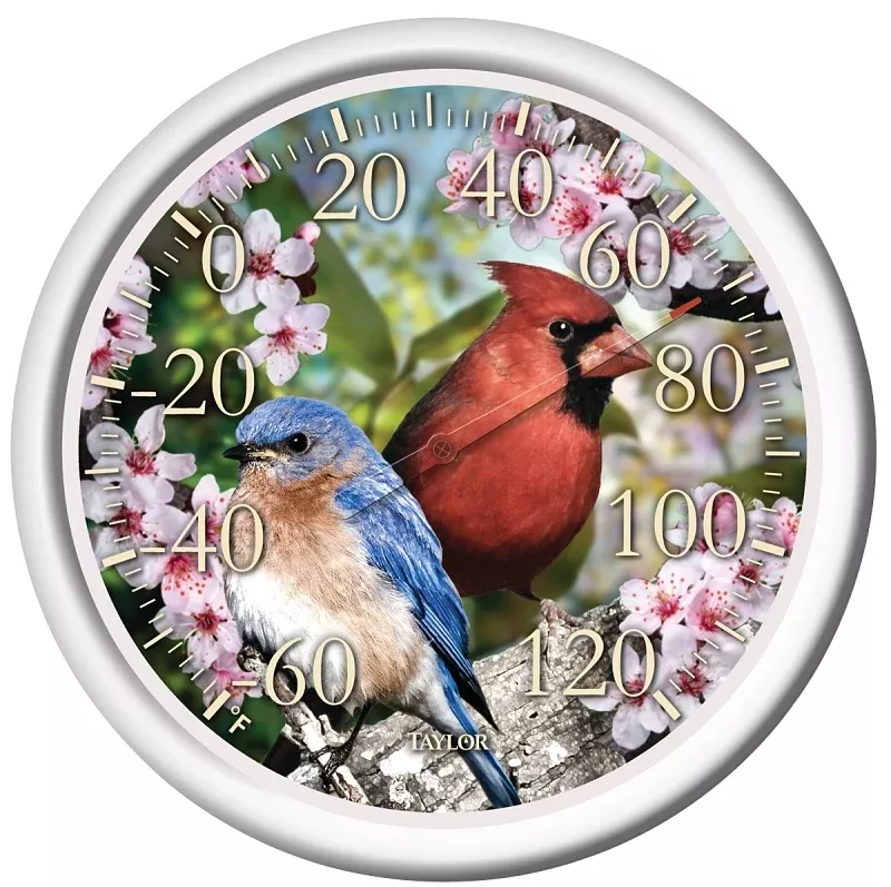 Taylor 6733 Thermometer, 13-1/4 in Display, -60 to 120 deg F, Multi-Color Casing